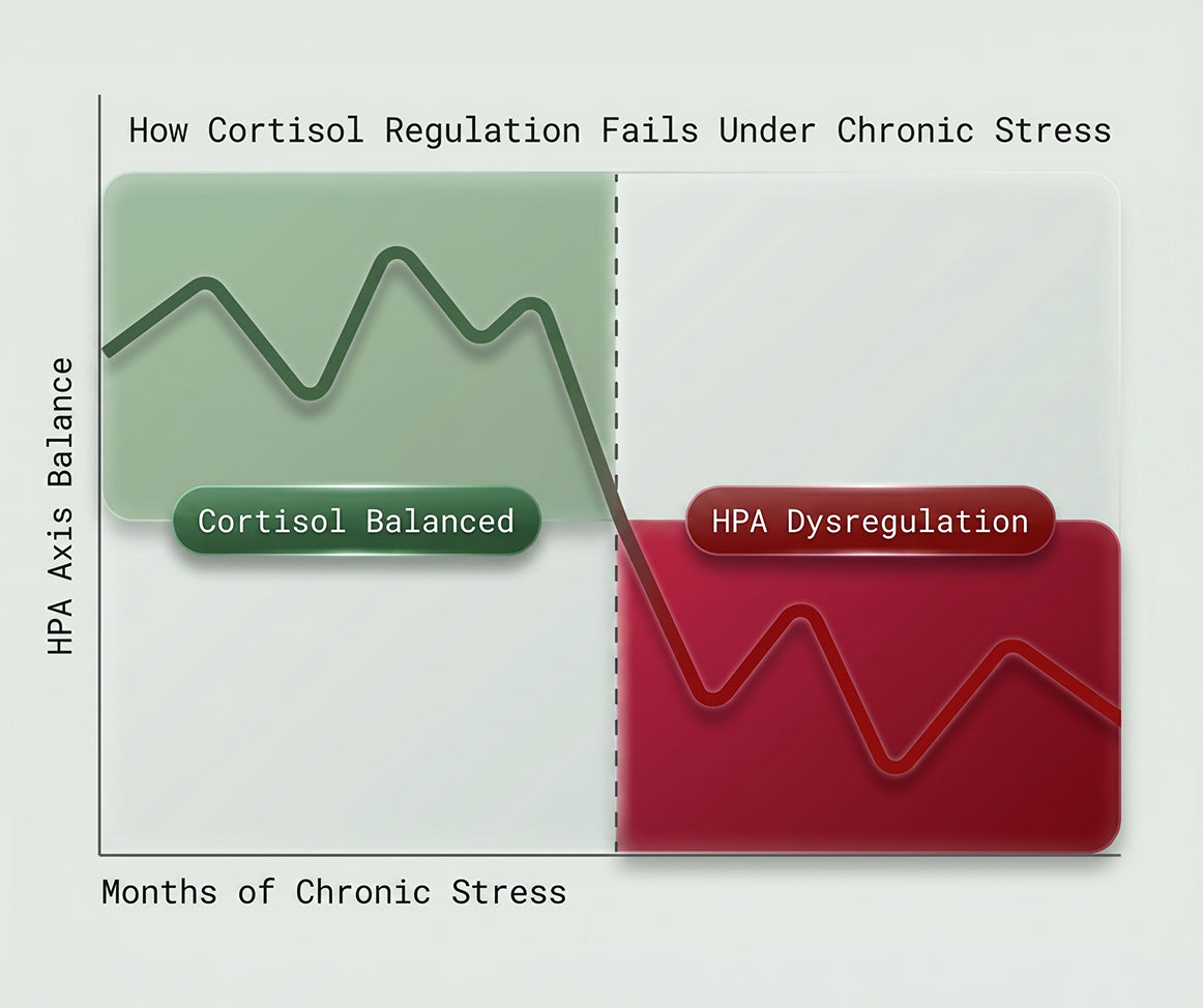 Stress Hormone