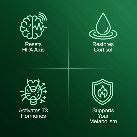 Thyroid Support Drops