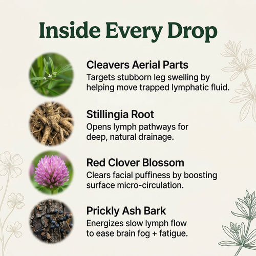 InnerFresh Lymphatic Drainage